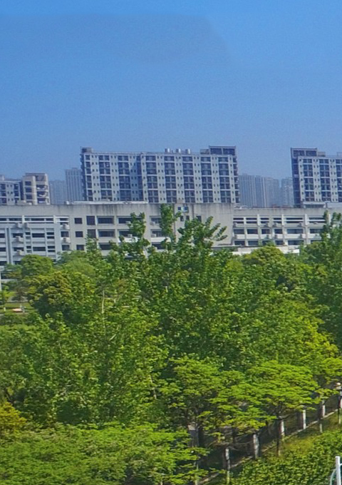 &#76;&#69;&#84;&#79;&#85;&#46;&#67;&#79;&#77;&#45;&#20048;&#25237;&#65288;&#20013;&#22269;&#65289;